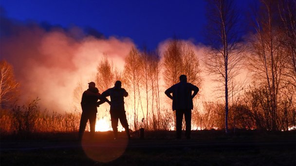 Природный пожар в Тюменской области (Фото Максима Слуцкого / ТАСС)
