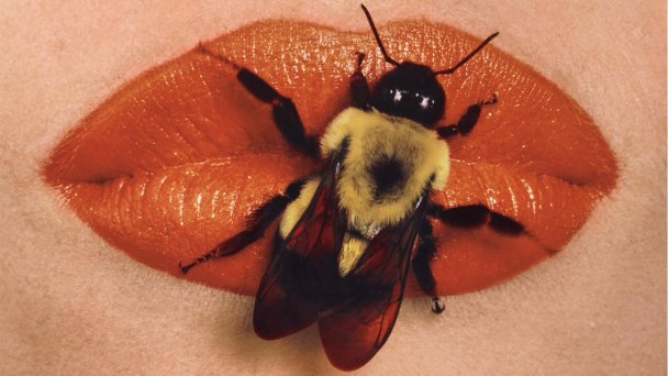 Ирвин Пенн. Bee on lips. 1995. Частная коллекция Марианны Сардаровой