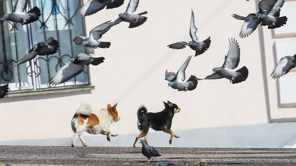 Фото Владимира Смирнова / ТАСС