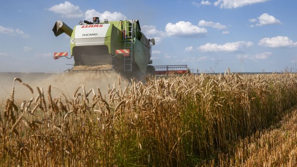 Уборка пшеницы на полях в Зарайском районе. (Фото Александра Рюмина / ТАСС)