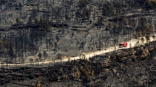 18 июля 2022 года. Последствия лесного пожара к северу от Барселоны, Испания. (Фото Albert Gea / Reuters)