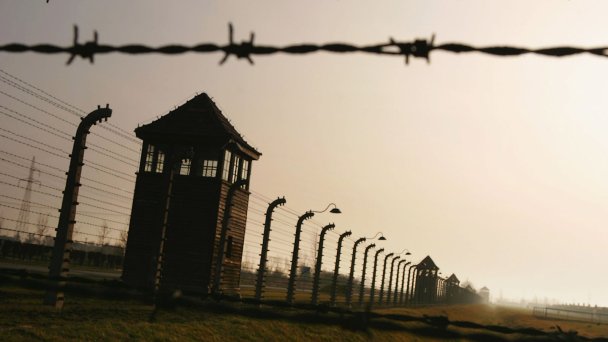 Лагерь в Освенциме (Фото Scott Barbour / Getty Images)