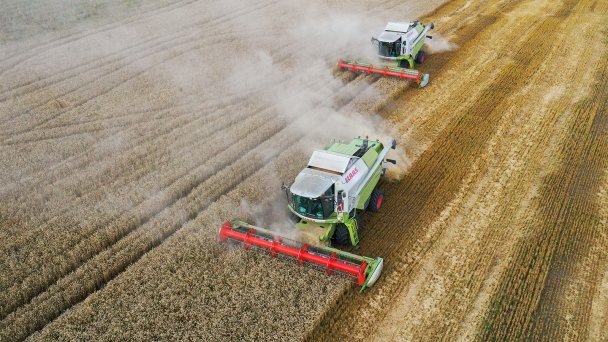  Уборка урожая пшеницы. (Фото Александра Рюмина / ТАСС)