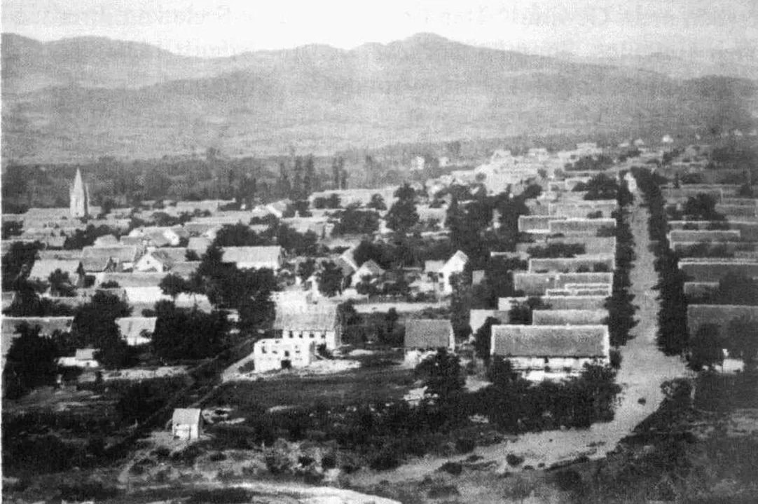 Как в XIX веке немцы поселились в Грузии и Азербайджане и преуспели