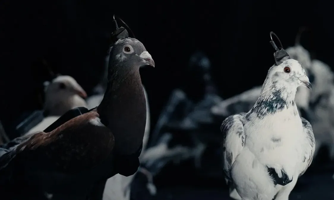 IMAGE-2025-11-25-14-01-22-69258cafecced.