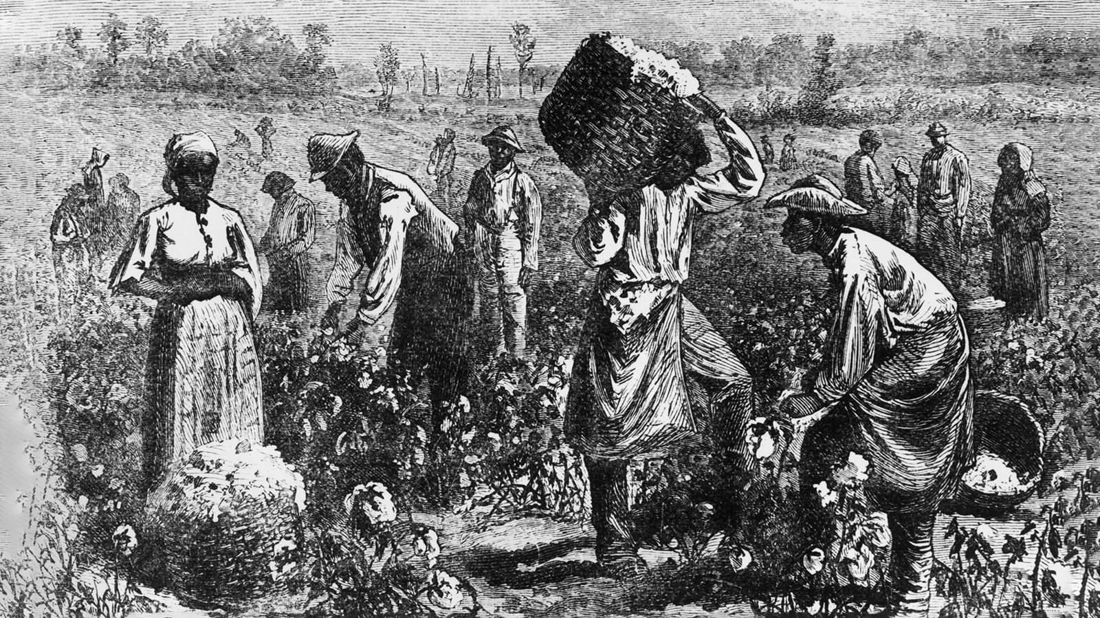 «Черные считались язычниками»: история рабства, рассказанная бывшим ...