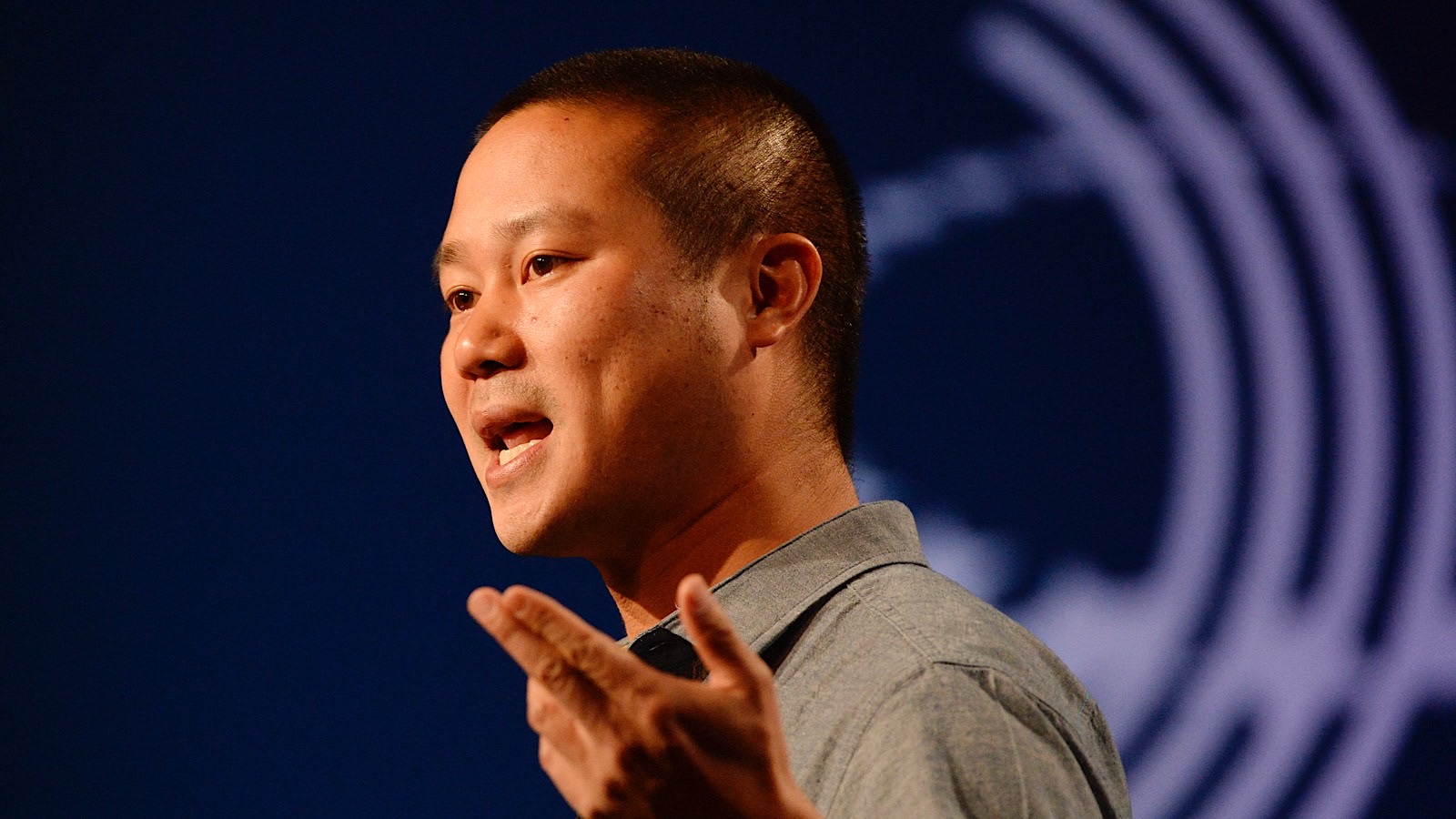 Тони шей. Tony Hsieh. Тони Шей фото. Zappos CEO Tony Hsieh.