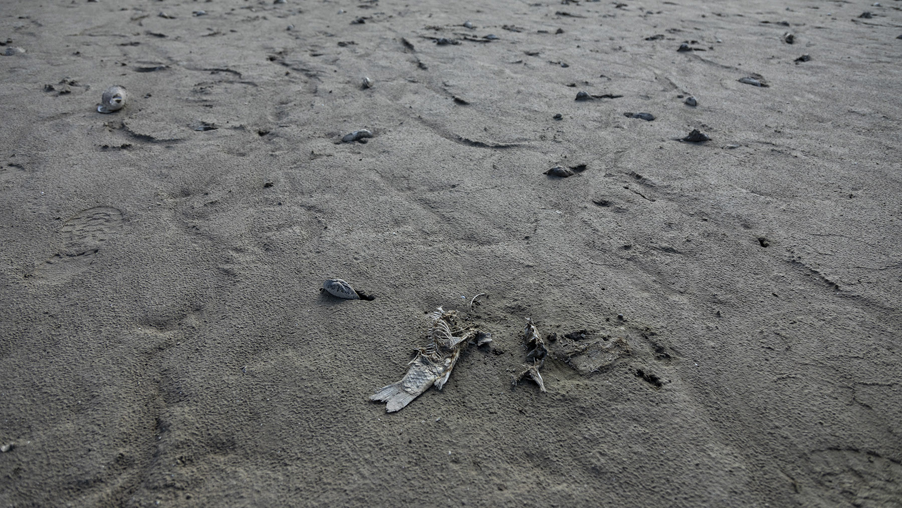 Фото каховского водохранилища сейчас