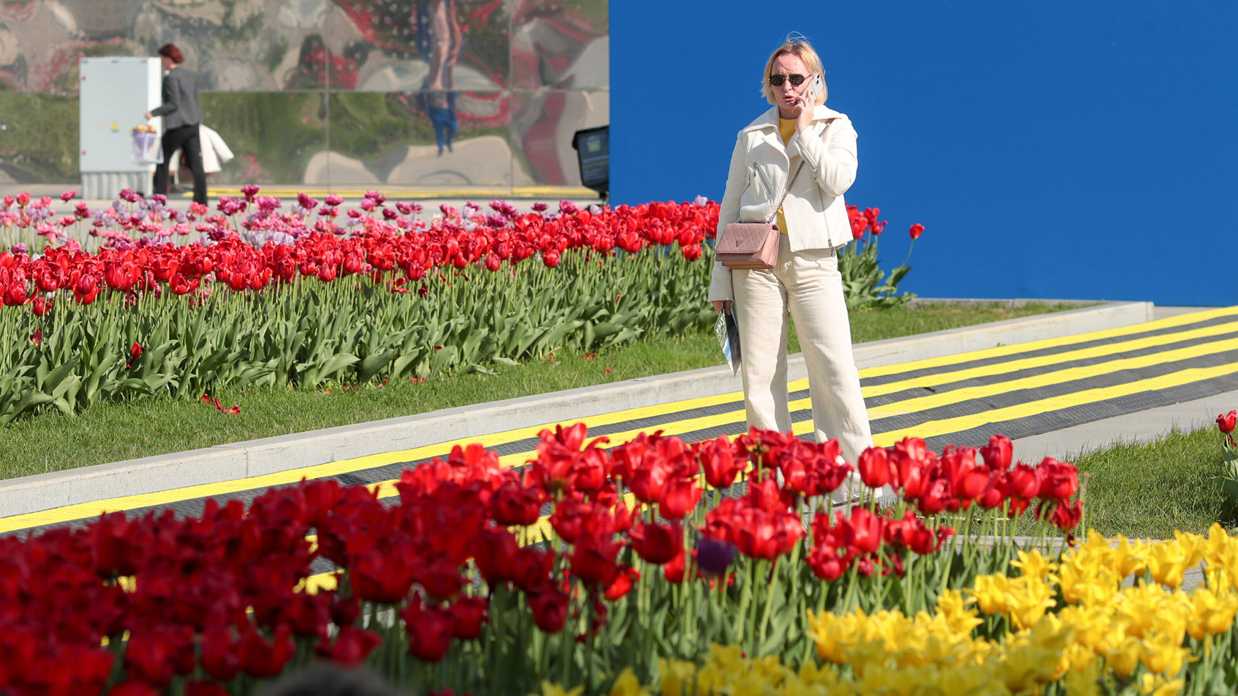 Операторы предложили расчистить для мобильной связи 5G частоты ...