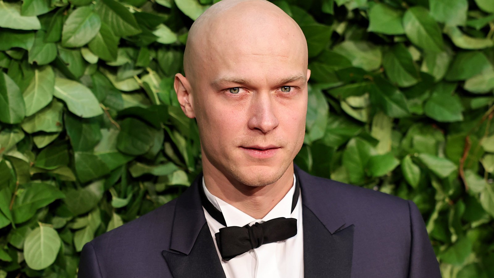 Омвд борисово северное