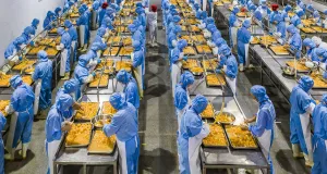 Восстановительный сбой: что надо знать о состоянии китайской экономики