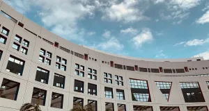 Азиатские школы управления: в чем их особенности и стоит ли там учиться