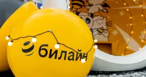 Вопрос бремени: «Вымпелком» может провести IPO до конца 2026 года