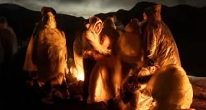 Экокатастрофы и покушение на Дональда Трампа: лучшие снимки World Press Photo 2025