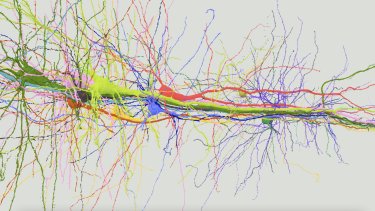 ШКОЛА-КОНФЕРЕНЦИЯ «БИОЛОГИЯ – НАУКА XXI ВЕКА» | ВКонтакте