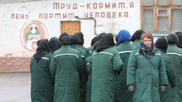 Русское порно в женской тюрьме - 3000 качественных видео