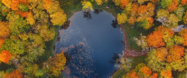 The Kaali Crater (остров Сааремаа, Эстония) (Фото Getty Images)