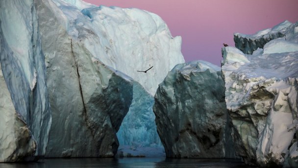 Ледники Гренландии продолжают таять. Фоторепортаж