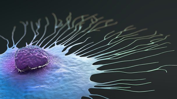 Научная иллюстрация клетки рака молочной железы (Фото Getty Images)