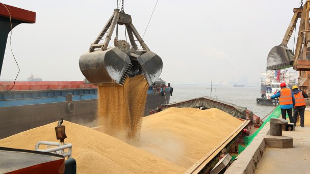 Зерно выгружается в китайском порту (Фото Xu Congjun / VCG via Getty Images)