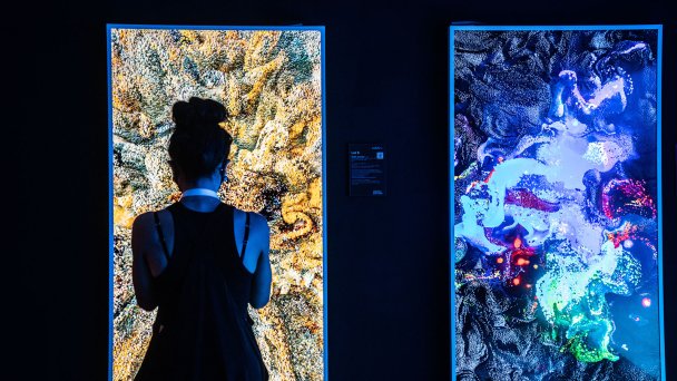 Цифровое и NFT-искусство на выставке Digital Art Fair Asia (Фото Lam Yik / Bloomberg via Getty Images)