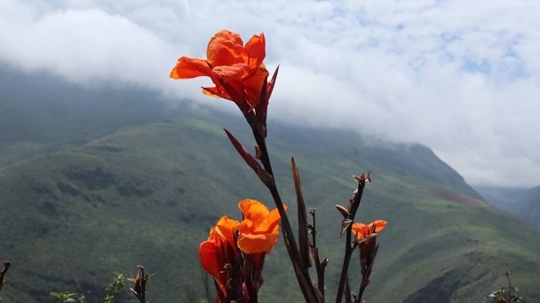 Пейзаж в Андах (Фото Ирины Сидоренко)
