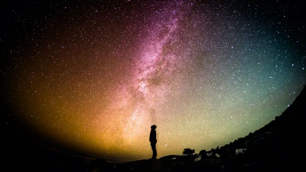Фото Unsplash