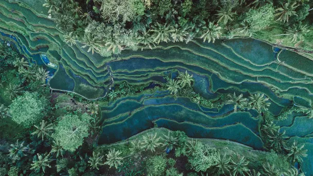 Фото Getty Images