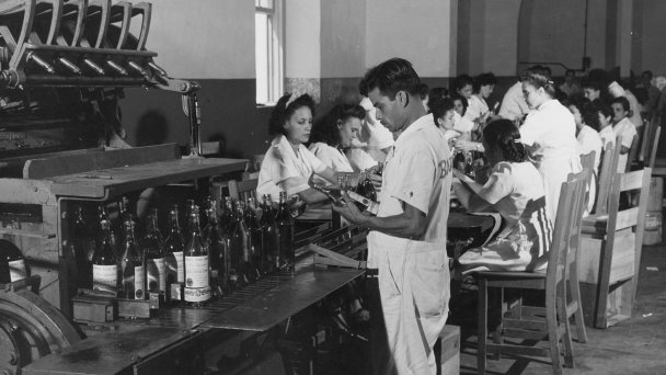 1955 год. Рабочие завода по розливу рома Bacardi (Фото Victor Kayfetz / Getty Images)