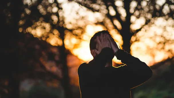 Фото Francisco Moreno / Unsplash