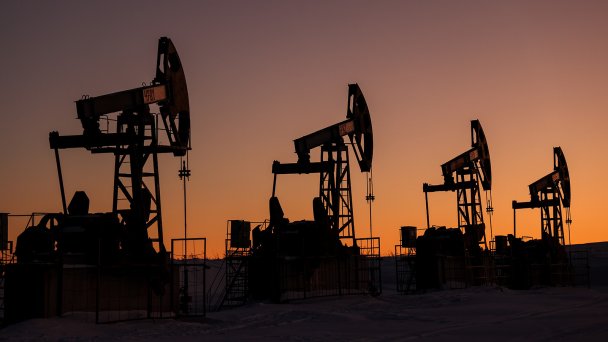 Нефтяные качалки (Фото Егора Алеева / ТАСС)