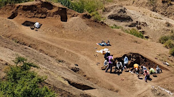 Раскопки на участке Ньяянга начались в июле 2016 года. (Фото J.S. Oliver, Homa Peninsula Paleoanthropology Project)