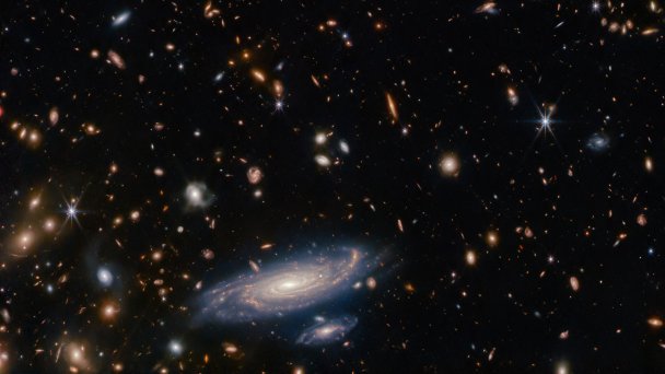 Звезды и галактики, окружающие спиральную галактику ЛЕДА 2046648, на снимке телескопа «Джеймс Уэбб» (Фото ESA / Webb, NASA)
