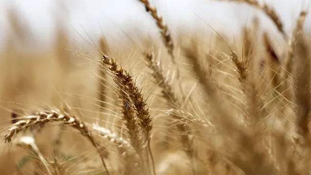 Фото Zuma / TASS