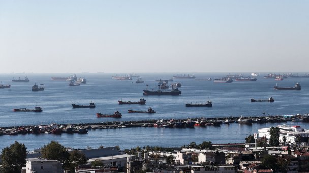 Грузовые суда с украинским зерном в очереди на инспекцию у побережья Стамбула в Мраморном море (Фото EPA / TASS)