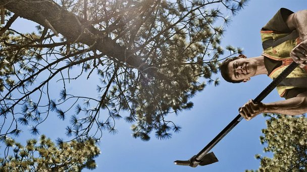 Если нет лесопилок, то нет и коммерческого спроса на пиломатериалы из национального леса Станислаус в Калифорнии. А потому эти деревья ― главные кандидаты на захоронение, утверждает генеральный директор Kodama Systems Меррит Дженкинс (Фото Ethan Pines для Forbes) 
