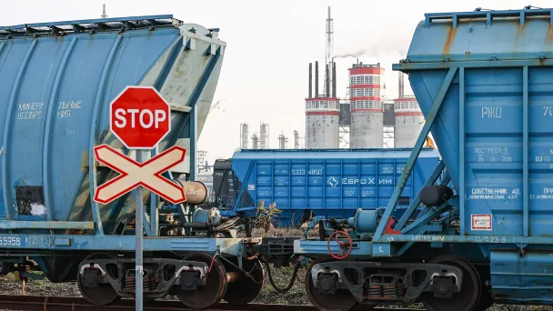 Фото Эрика Романенко / ТАСС