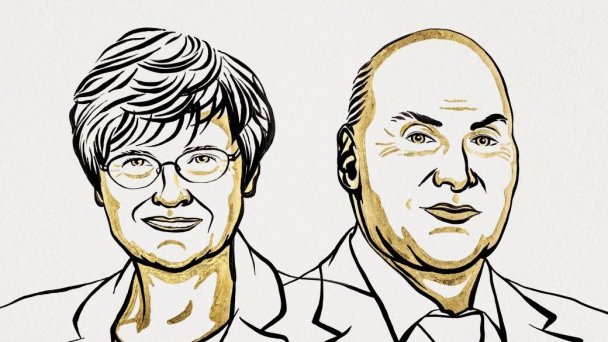Каталин Карико и Дрю Вайсман (Иллюстрация Niklas Elmehed / Nobel Prize Outreach)
