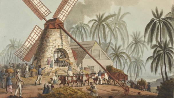 Процесс производства сахара. 1823 год (Иллюстрация William Clark / Wikipedia)