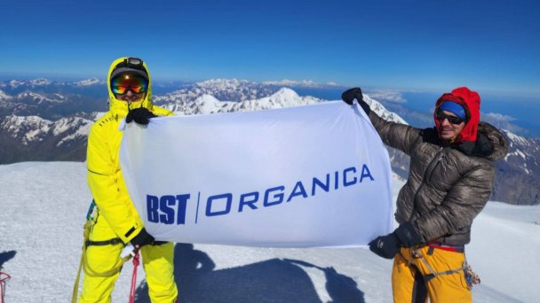 Место под солнцем: как геоаналитика сервиса BST Organica помогает бизнесу
