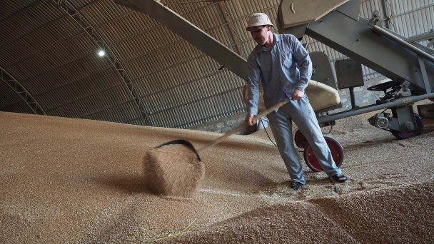 Уборка пшеницы в фермерском хозяйстве (Фото Виталия Тимкива / ТАСС)