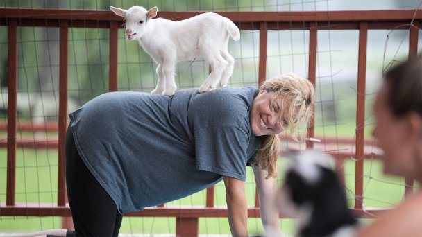 Фото Original Goat Yoga