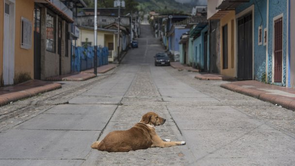 Фото Carlos Becerra / Bloomberg via Getty Images