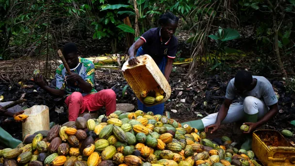 Фото Luc Gnago / Reuters