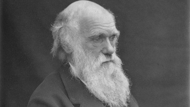 Чарльз Дарвин (Фото Leonard Darwin)