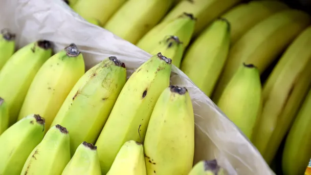 Фото Александра Рюмина / ТАСС