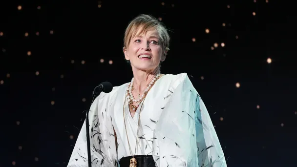 Шэрон Стоун (Фото Matt Winkelmeyer / Getty Images for GLAAD)