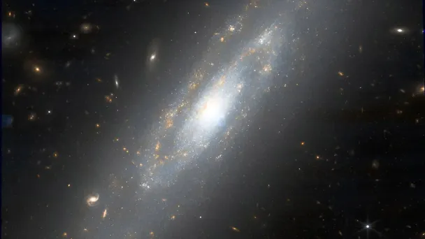 Галактика NGC 3972 на снимке космического телескопа «Джеймс Уэбб» (Фото Yuval Harpaz via JWST)