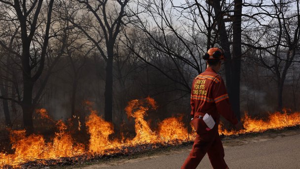 Фото Lance McMillan / Toronto Star via Getty Images