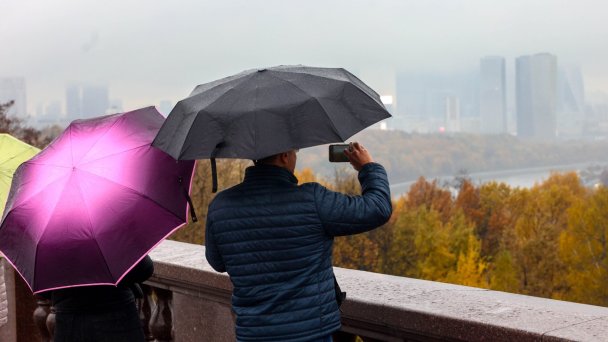 Фото Ярослава Чингаева / Агентство «Москва»